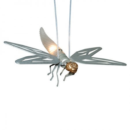 ak1146-moshcito-syrmatosxoino-akriphos-gr-fotistika-xondriki-polisi-3