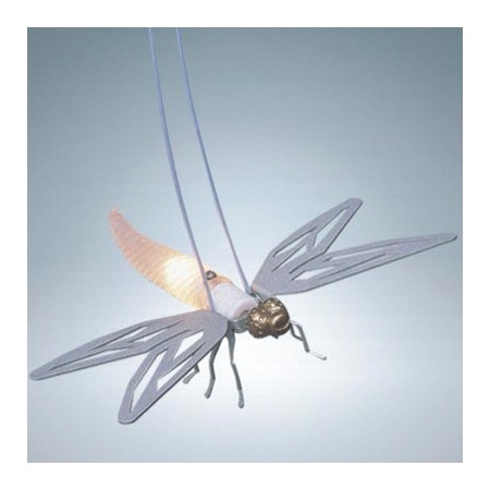 ak1146-moshcito-syrmatosxoino-akriphos-gr-fotistika-xondriki-polisi