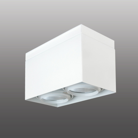 legend-cob-led-2-dimmable-difoto-driver