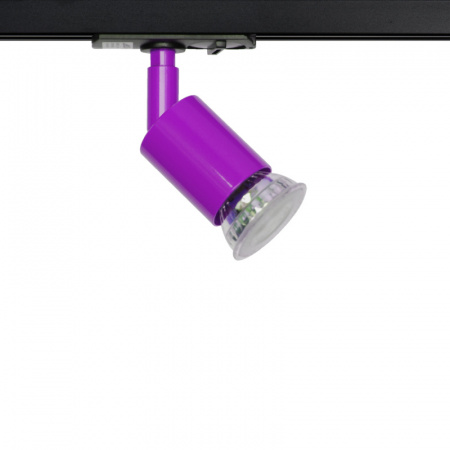 lex-purple-40x52mm