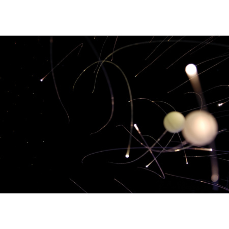 sidelight-solidcore-photo